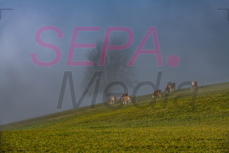 Preview 201027_SEPA_15_061.jpg